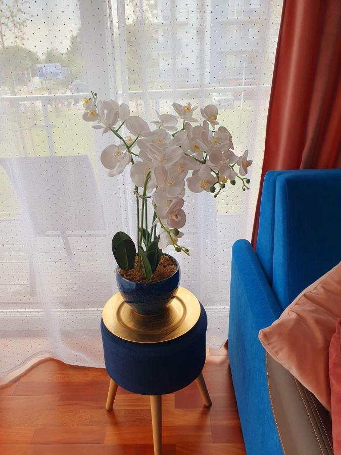 Apartament Comfort I Kolobrzeg Daire Dış mekan fotoğraf